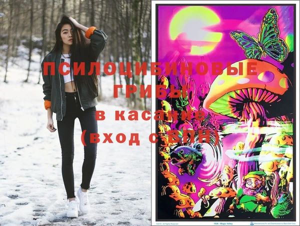 крисы Алзамай