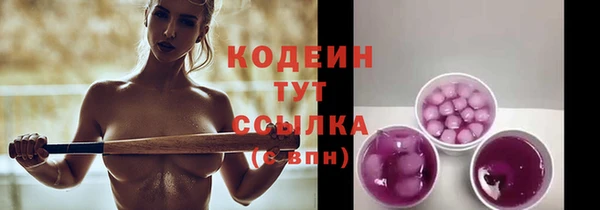 индика Пестово