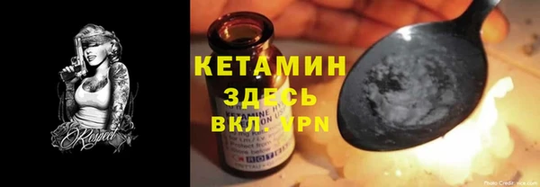 крисы Алзамай