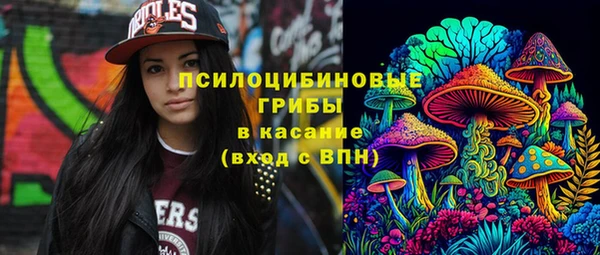 крисы Алзамай