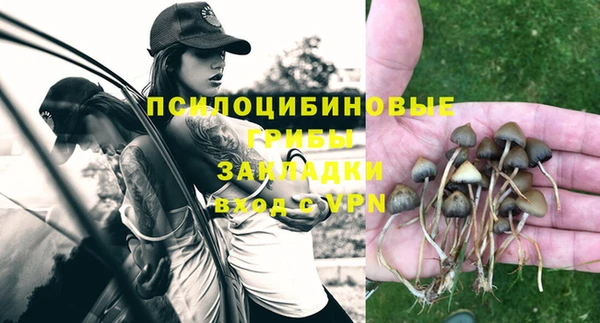 соль ск Алексеевка