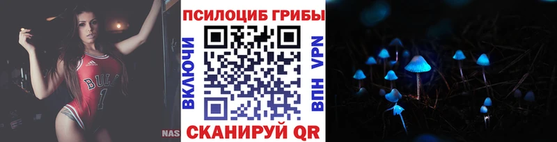 закладки  Нарьян-Мар  kraken   Галлюциногенные грибы прущие грибы 