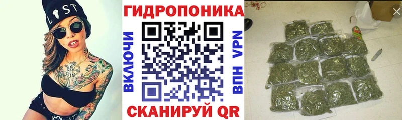 где купить наркоту  Нарьян-Мар  Шишки марихуана гибрид 